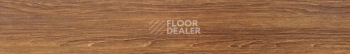 Ecoclick Wood  замковый 4.2мм NOX-1603 Дуб Сиена фото 2 | FLOORDEALER